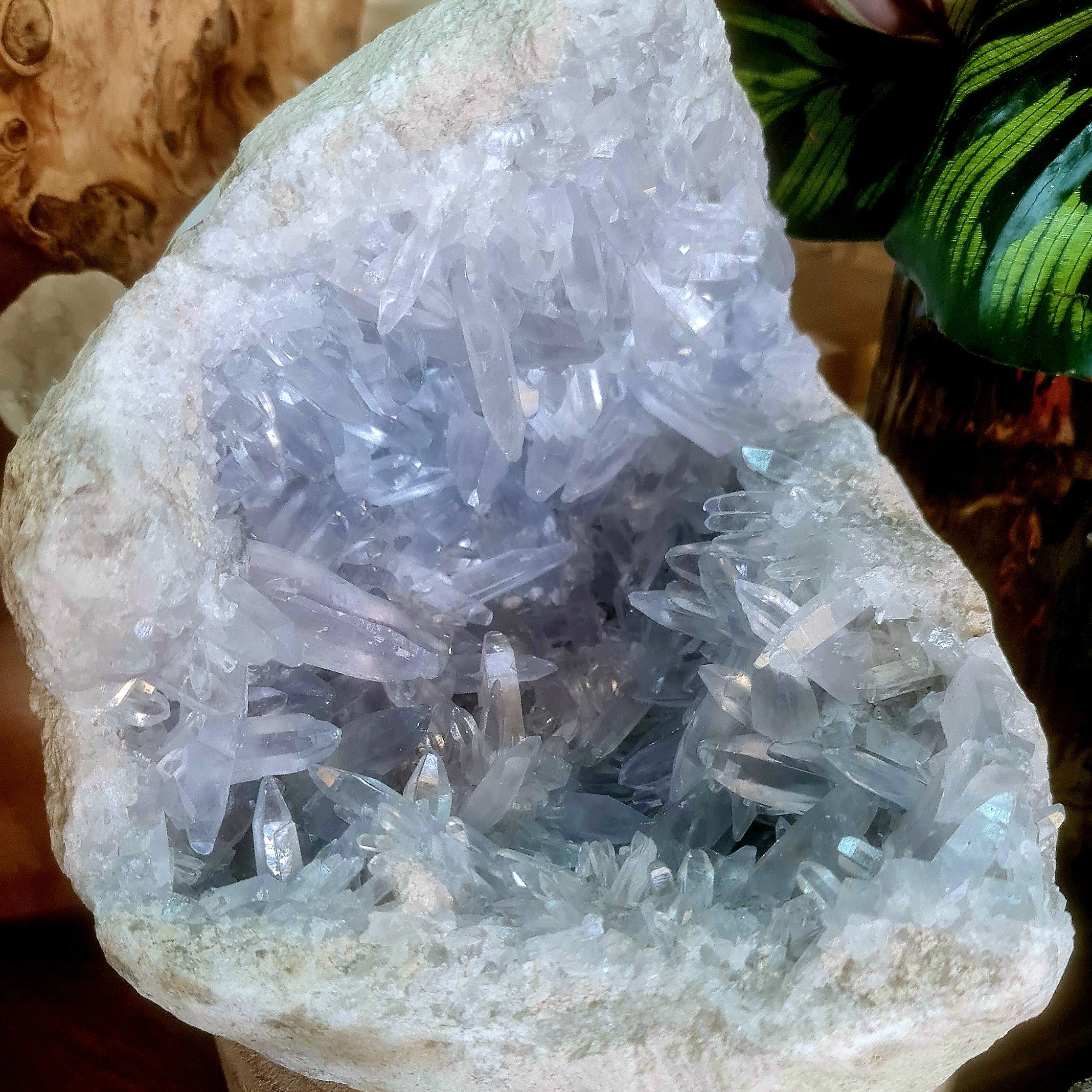 Celestite Houndstooth Geode Cluster - Main Image